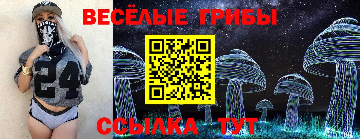 Псилоцибиновые грибы ЛСД Вольск